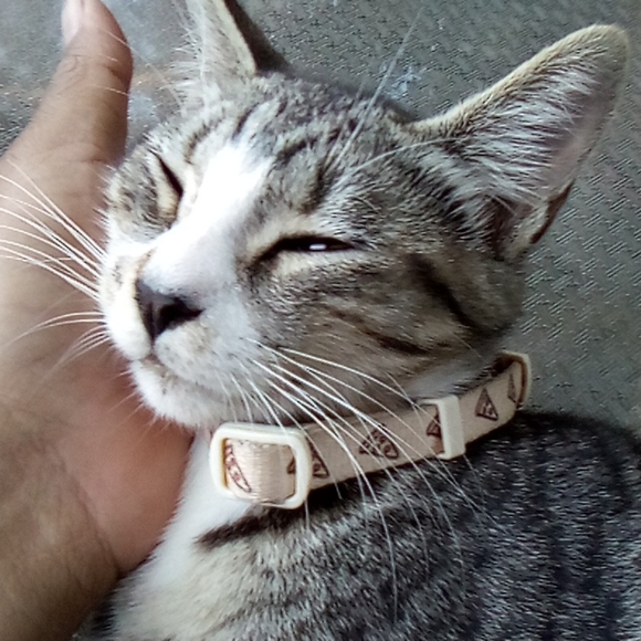 Pusheen adjustable pizza collar for pet NWT - Picture 8 of 10